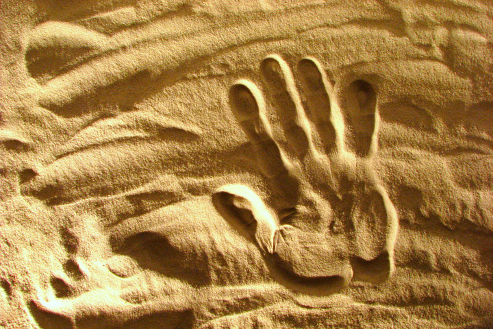 Fotó: NorthFoto Minden embernek van egy „hetedik érzéke"