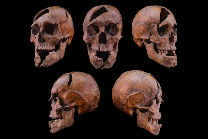 Fotó: biologia.elte.hu Magyar herceg brutális meggyilkolása