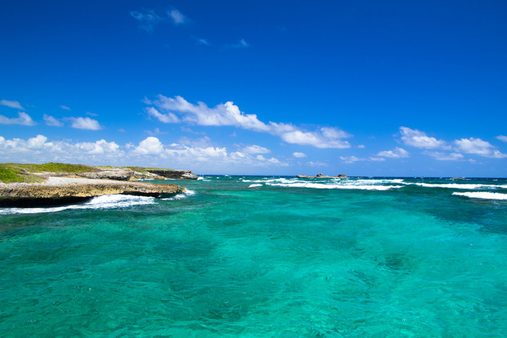 Fotó: NorthFoto Az intelligencia, ami nem agyból fakad