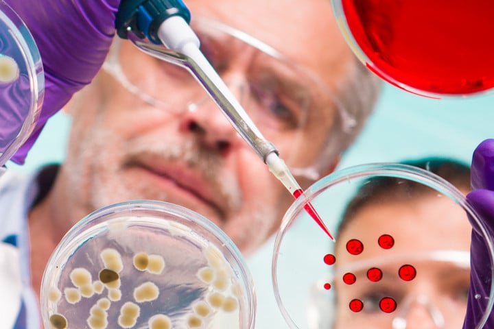 A polipok különös tudata