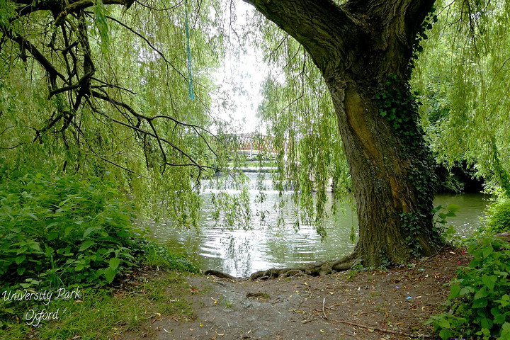 Fotó: NorthFoto A folyó árterébe, amely Tolkient inspirálta, több száz tonna szemetet dobtak