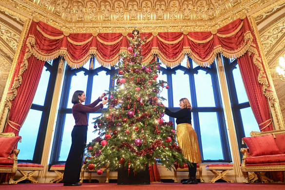 Már áll a windsori kastély óriási karácsonyfája