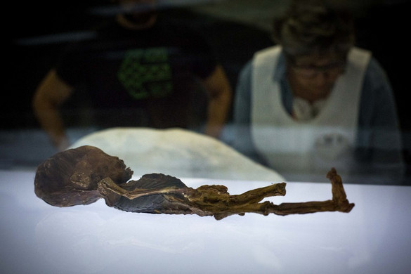 Hátborzongató felfedezés, megfejtették a zöld múmia titkát