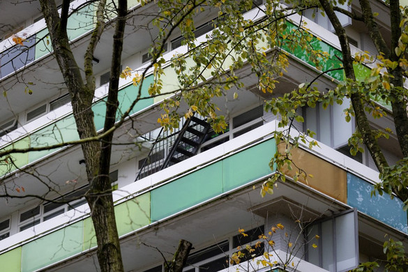 Brutális állatkínzás Kecskeméten