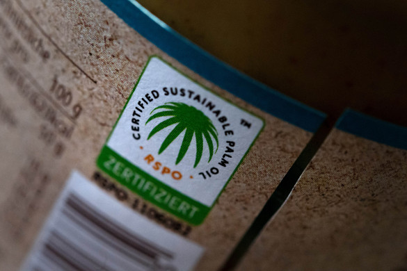 Ok nélkül démonizáltuk a pálmaolajat?