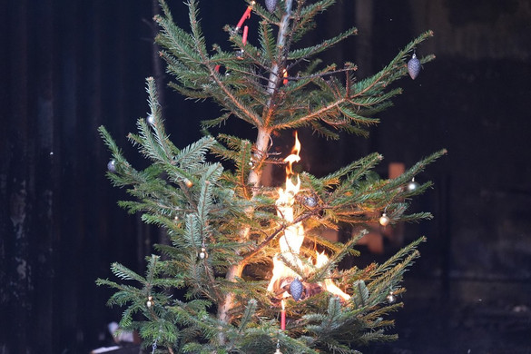 Különösen sok a tűvész advent idején