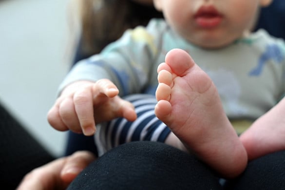 Szavazati jog babavárás alatt