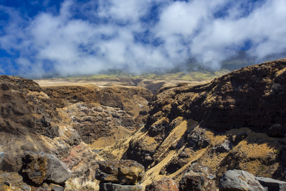 Feltűntek a Föld legrégebbi életjelei