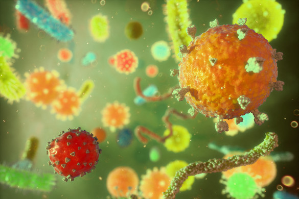 Több mint 60 korábban ismeretlen vírust azonosítottak