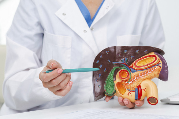 A hepatitis A tünetei