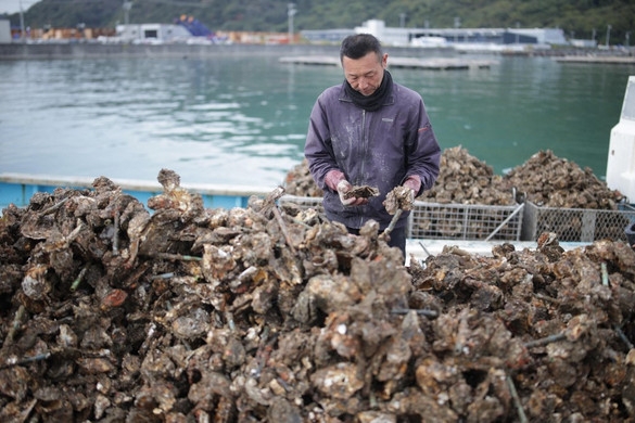 Titokzatos kór pusztít Japánban