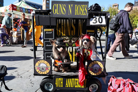 Nyugtalan ebeknek Beethoven dukál!