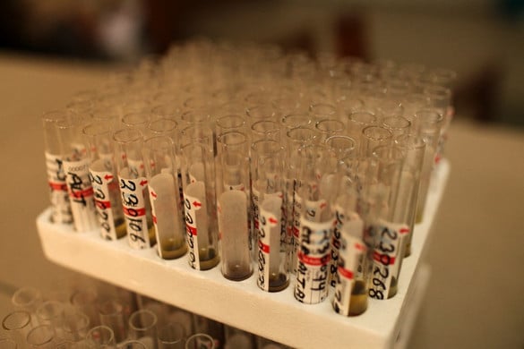 „Egzotikus" labor nyílt Pécsett