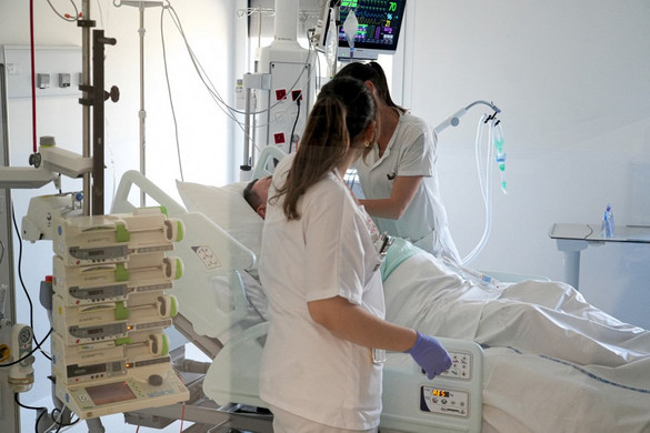 Magyarok sokasága költözhet vissza az országba