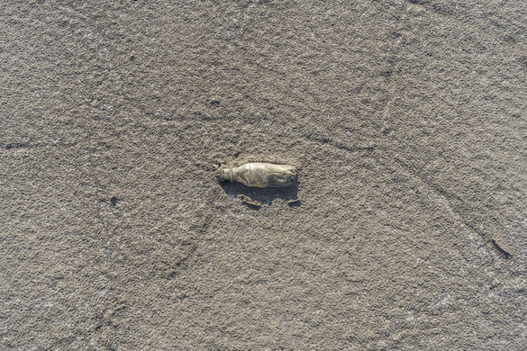 A visszaváltási rendszerünk sem jó Brüsszelnek