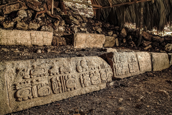 Egy ősi rejtély kelt életre a dzsungelben