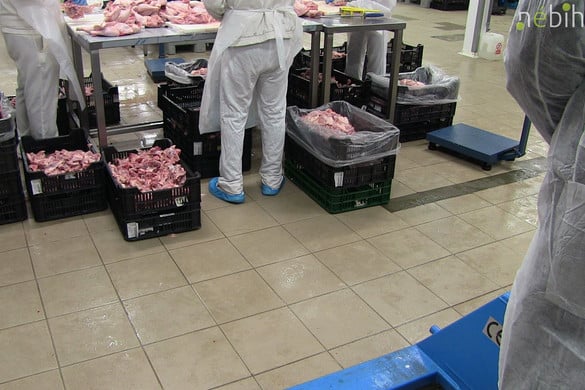 Felfüggesztette egy vadfeldolgozó üzem működését a Nébih