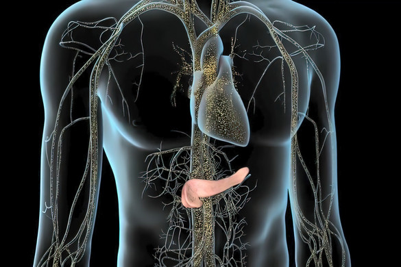 Az összes rák közül ez a legalattomosabb