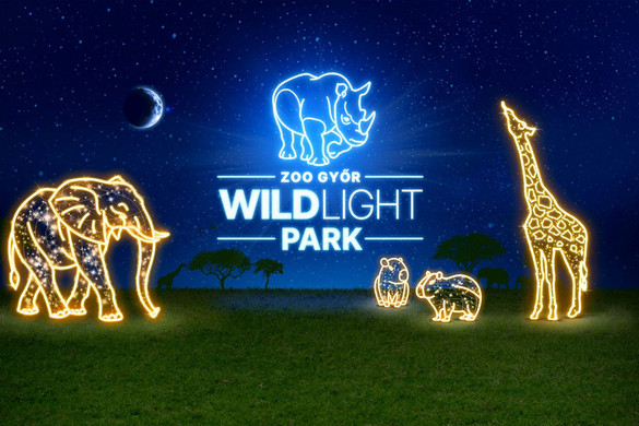 Fotó: Facebook/ZOO GYŐR Adventi Manóséta és más ünnepváró programok Győrben