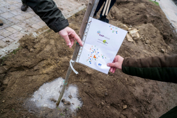 „A kormány elkötelezett az erdők gyarapítása iránt”