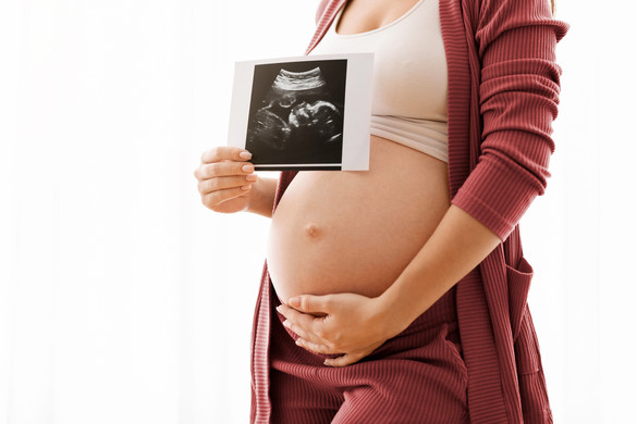 Miért nincs farkunk?