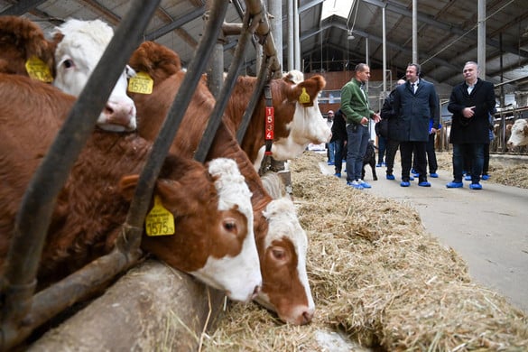 A családi gazdaságok írják meg a jövőt