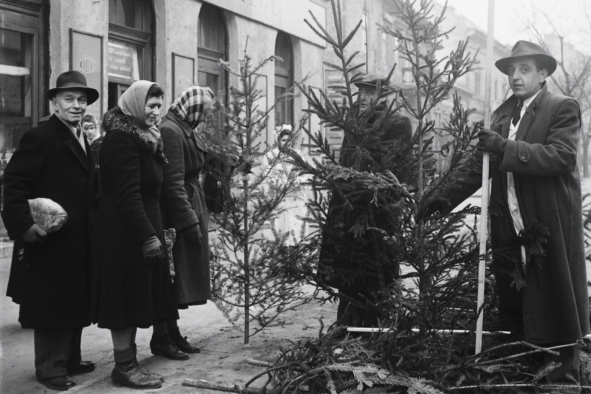 Utcai karácsonyfa árus 1953-ban