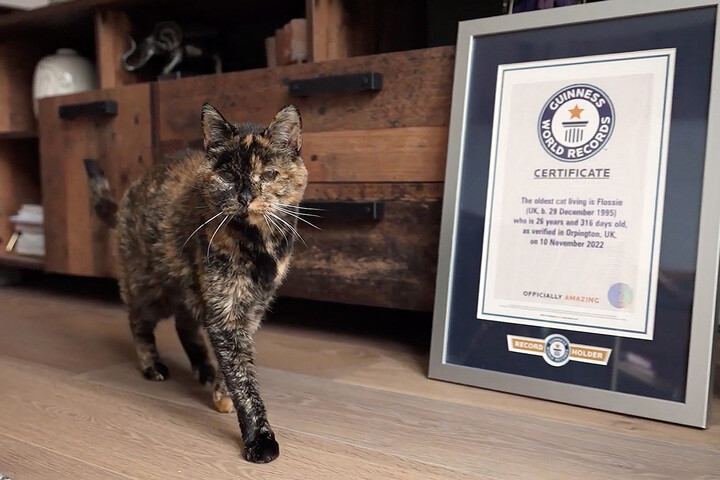 Boldog születésnapot, Flossie!