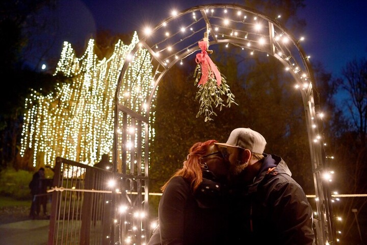 A fagyöngy több, mint romantika!