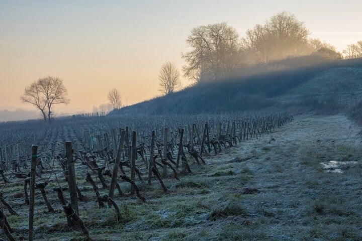 Fotó: AFP/Only France/Thierry Grun Hitelmoratóriummal segíti a kormány a gazdákat
