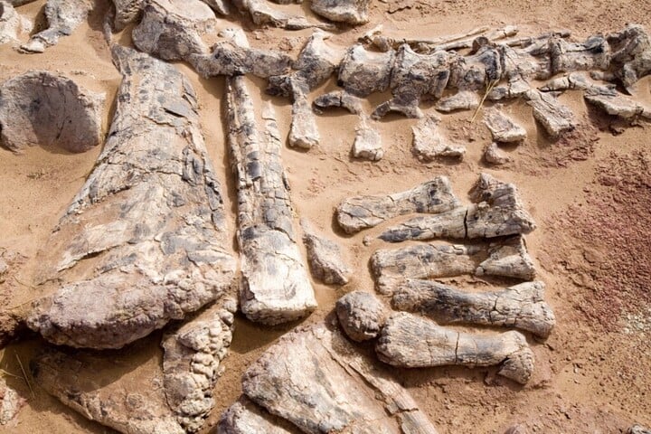 Dinoszaurusz-autópálya Bolíviában