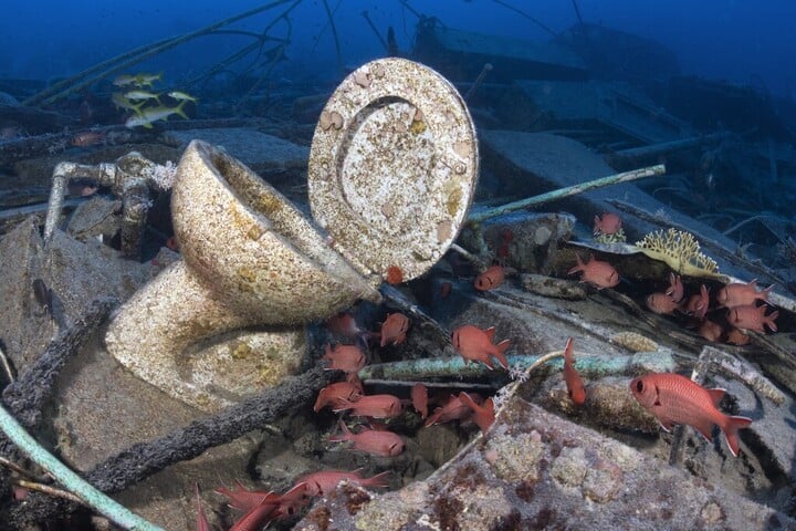 Fotó: AFP/Biosphoto/Sergio Hanquet Amatőrök leltek rá az orosz szonárbójákra