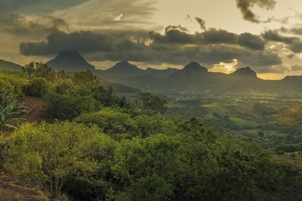 Tűzből született csoda