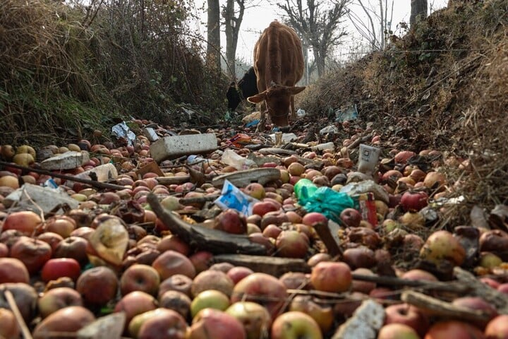 Fotó: AFP/NurPhoto/Nasir Kachroo Nem egyenlő a szavatossággal a fogyaszthatóság