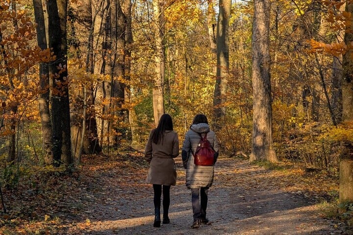 A barátság öt fajtája