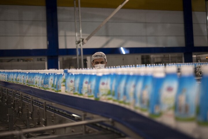 Súlyos válság előtt a szlovák tejipar