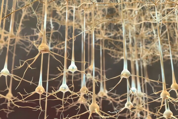 Gyakran összetévesztik az Alzheimer-kórral