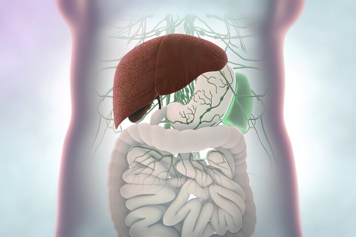 Mit kell enni a máj méregtelenítéséhez?