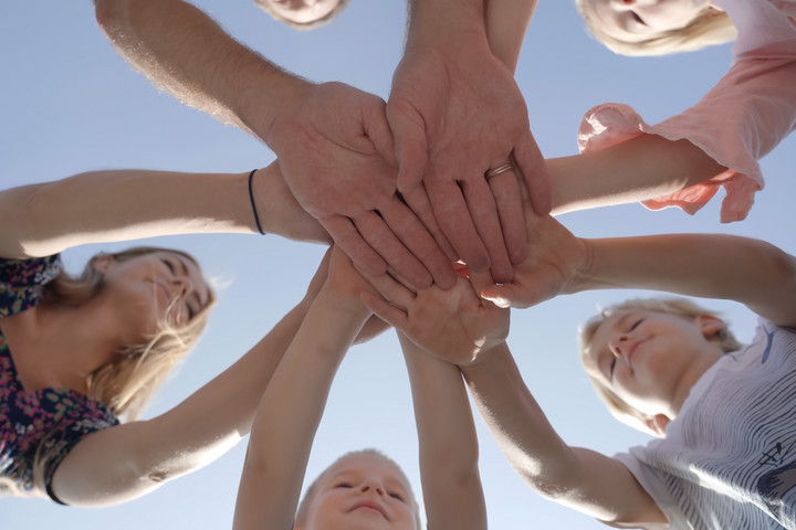 Fotó: NorthFoto Tavaly volt az eddigi legmagasabb az örökbefogadások száma