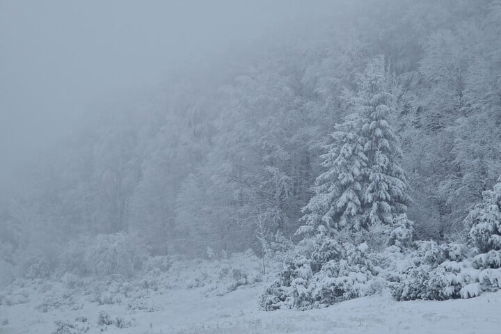 Veszélyben a Bükk egyik ritka természeti kincse