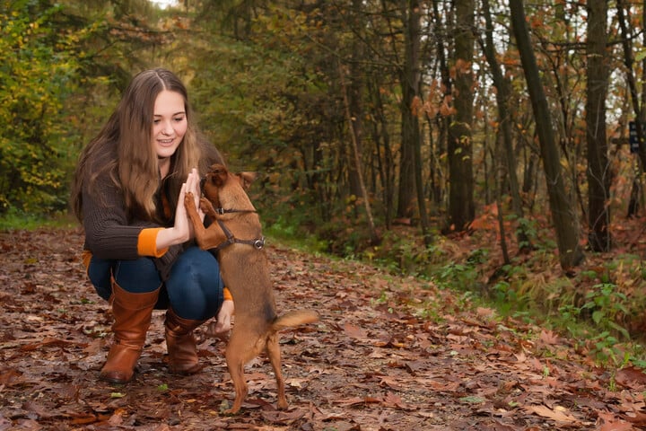 Fotó: NorthFoto A kutyatartás pozitív hatással van a tinédzserek mentális egészségére