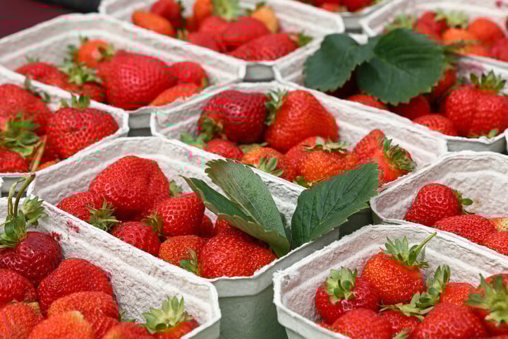 Fotó: NorthFoto Hogyan mossuk meg helyesen az epret, és hogyan tároljuk hosszabb ideig a hűtőszekrényben?