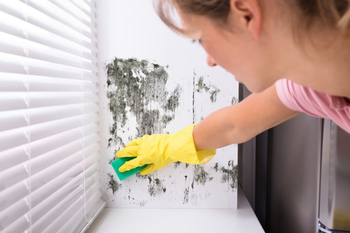 Állítsd meg a penészesedést egy egyszerű skandináv trükkel