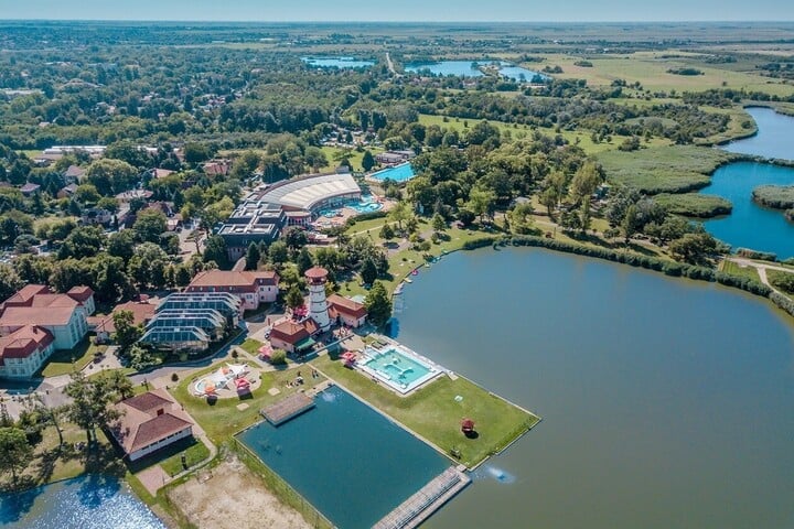 Gyopárhalma különös felemelkedése