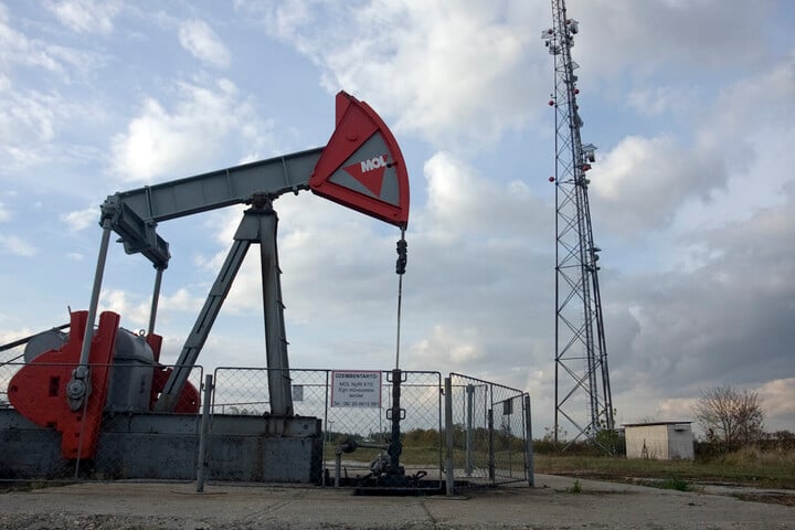 Ígéretes kutatás a Dunántúlon