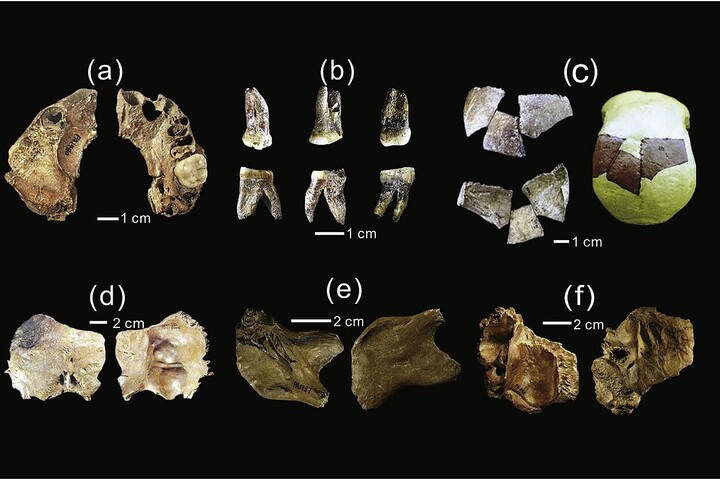 A „Sárkányember" és a „Nagyfejű Ember" együtt létezett az őskori Kínában