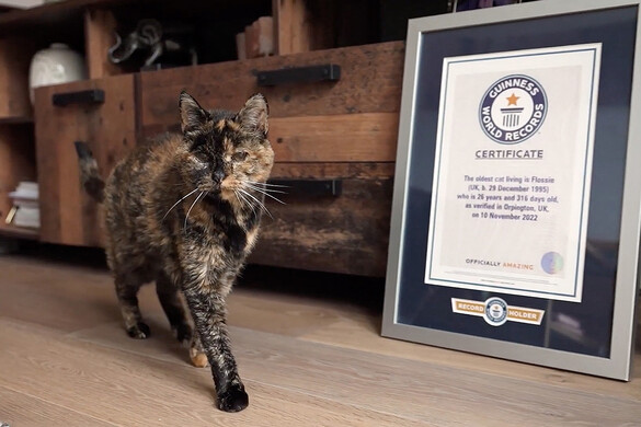 Boldog születésnapot, Flossie!