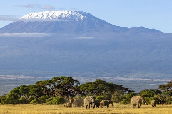 Mentési bevetés közben zuhant le a helikopter