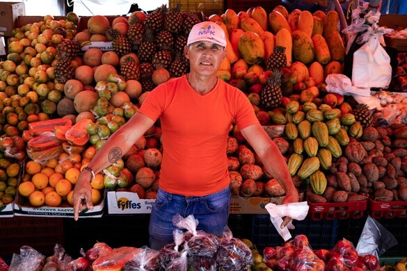 Állati takarmányt adnak el déligyümölcsként