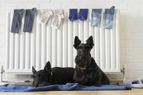 Ezek a hibák magasabb fűtési költségekhez vezetnek